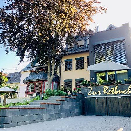 Zur Rotbuche Lägenhet Zeltingen-Rachtig Exteriör bild